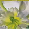 Georgia O'Keeffe. Edition bilingue français-anglais