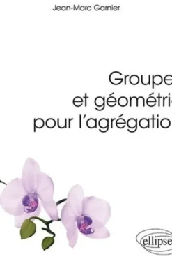 Groupes et géometrie pour l'agrégation, Jean-Marc Garnier