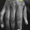 Hand. Edition bilingue français-anglais, Anne de Vandière