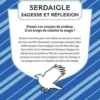 Harry Potter Serdaigle. Sagesse et réflexion, Wizarding World