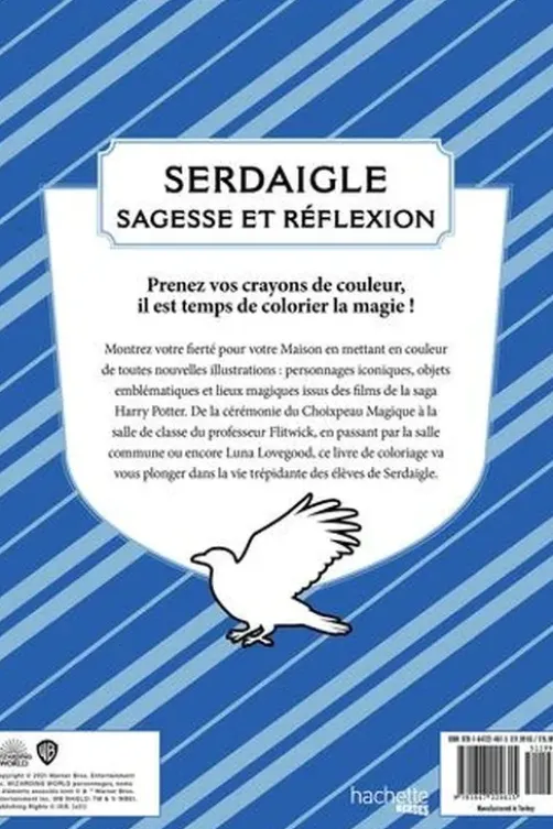 Harry Potter Serdaigle. Sagesse et réflexion, Wizarding World