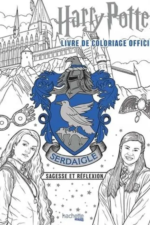Harry Potter Serdaigle. Sagesse et réflexion, Wizarding World