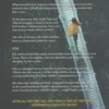 Has Anyone Seen Charlotte Salter? Edition en anglais, Nicci French