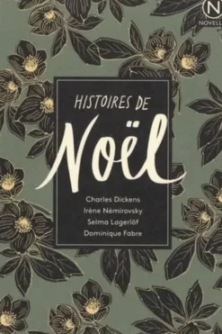 Histoires de Noël, Dominique Fabre