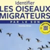 Identifier les oiseaux migrateurs par le son, Stanislas Wroza
