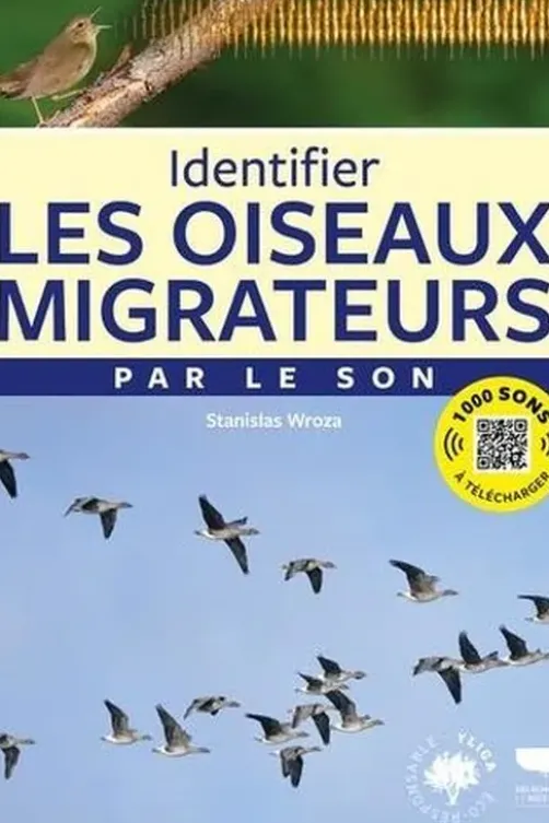 Identifier les oiseaux migrateurs par le son, Stanislas Wroza