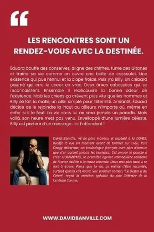 Ils t'attendent, David Banville