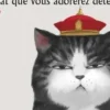 Imperator : le chat que vous adorerez détester Tome 1, Cha Bai