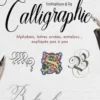 Initiation à la calligraphie. Alphabets, lettres ornées, entrelacs... expliqués pas à pas, Jane Sullivan