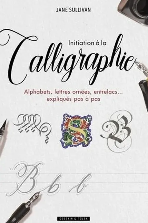 Initiation à la calligraphie. Alphabets, lettres ornées, entrelacs... expliqués pas à pas, Jane Sullivan