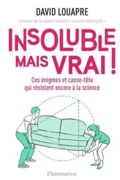 Insoluble mais vrai ! Ces énigmes et casse-tête qui résistent encore à la science, David Louapre