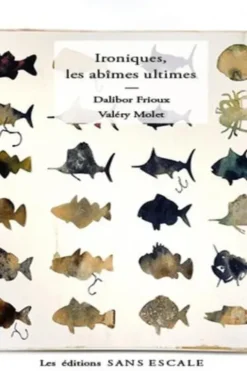 Ironiques, ultimes abîmes, Valéry Molet