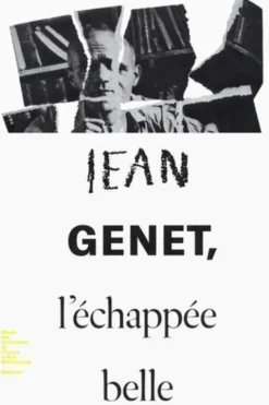Jean Genet, l'échappée belle, Emmanuelle Lambert