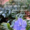 Je ne sais pas pourquoi, Hervé Kervern-Roque