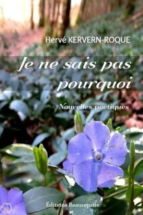 Je ne sais pas pourquoi, Hervé Kervern-Roque