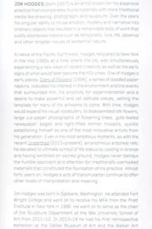 Jim Hodges. Edition en anglais, Jane M. Saks