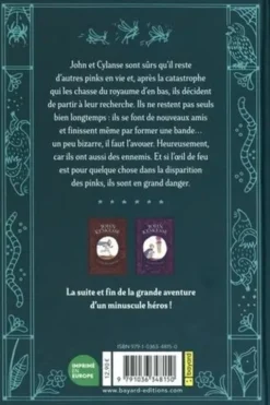 John Keskessé Tome 3 : La quête du dragon, Evelyne Brisou-Pellen