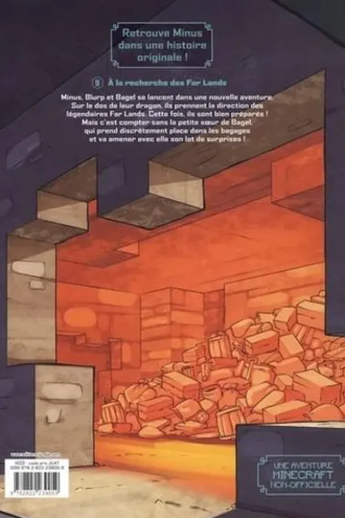 Journal d'un noob Tome 9 : A la recherche des Far Lands, Cube Kid