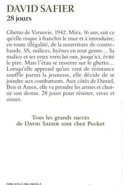 28 jours, David Safier