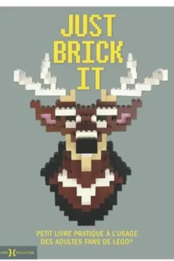 Just brick it. Petit livre pratique à l'usage des adultes fans de Lego, David Scarfe