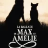 La ballade de Max et Amélie, David Safier