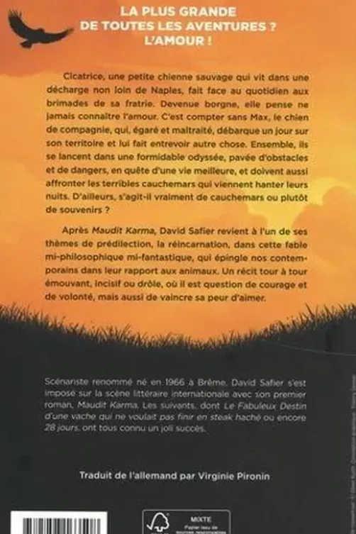 La ballade de Max et Amélie, David Safier