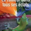La couleur dans tous ses éclats, Bernard Valeur