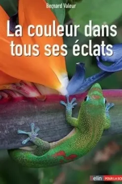 La couleur dans tous ses éclats, Bernard Valeur