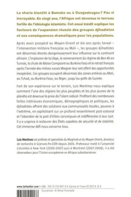 L'Afrique, le prochain califat ? La spectaculaire expansion du djihadisme, Luis Martinez