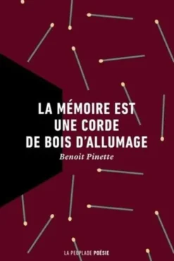 La mémoire est une corde de bois d'allumage, Benoit Pinette