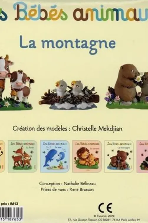 La montagne, Nathalie Bélineau