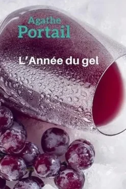 L'année du gel [EDITION EN GROS CARACTERES, Agathe Portail
