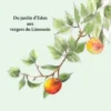 La pomme dans tous ses états. Du jardin d'Eden aux vergers du Limousin, Cécile McLaughlin