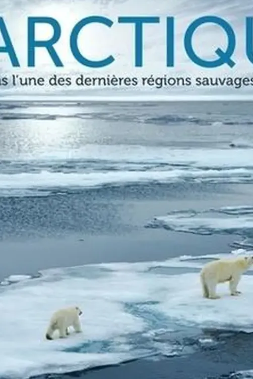 L'Arctique. La vie dans l'une des dernières régions sauvages du monde, Claudia Martin