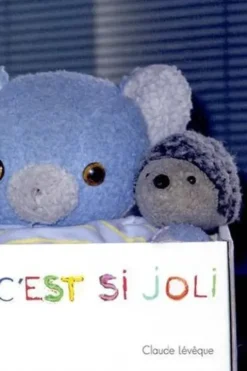 La vie c'est si joli, Claude Lévêque