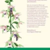 La vie sexuelle des fleurs, Simon Klein