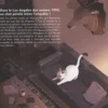 Le chat mène l'enquête, Noho
