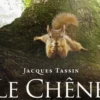 Le chêne, Jacques Tassin