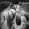 Le cirque bidon. Sur la route, Alain Gaymard
