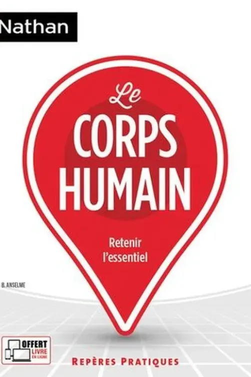 Le corps humain, Bruno Anselme