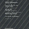 Le cri des femmes afghanes. Edition bilingue français-arabe, Leili Anvar