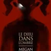 Le dieu dans l'ombre, Megan Lindholm