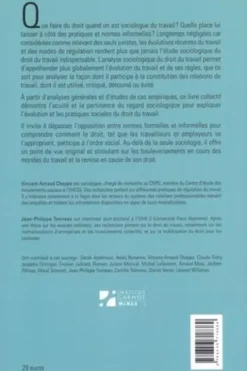Le droit du travail en sociologue, Vincent-Arnaud Chappe