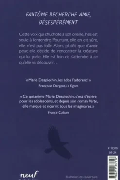 Le fantôme de Suzanne Fougères, Marie Desplechin