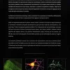 Le grand livre du cerveau, Richard Frackowiak