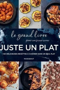 Le grand livre pour cuisiner avec Juste un plat. 140 délicieuses recettes à cuisiner dans un seul plat, Molly Shuster