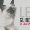 Le guide du chaton, Collectif