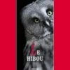 Le hibou, Nissim Aloni