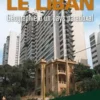 Le Liban. Géographie d'un pays paradoxal, Henri Chamussy