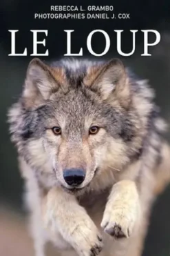 Le loup. Légende, ennemi ou ami, icône, Rebecca-L Grambo